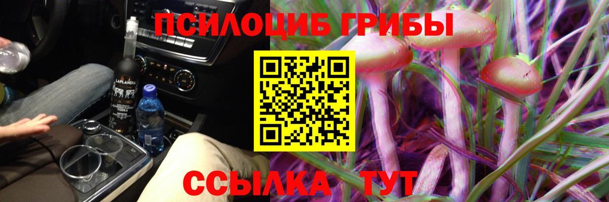 Галлюциногенные грибы GOLDEN TEACHER  Вход с VPN  Тимашёвск 